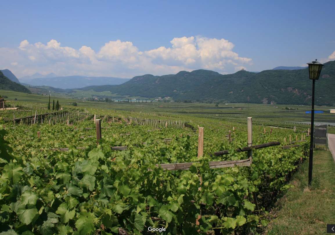 Tramin on the Wine Road